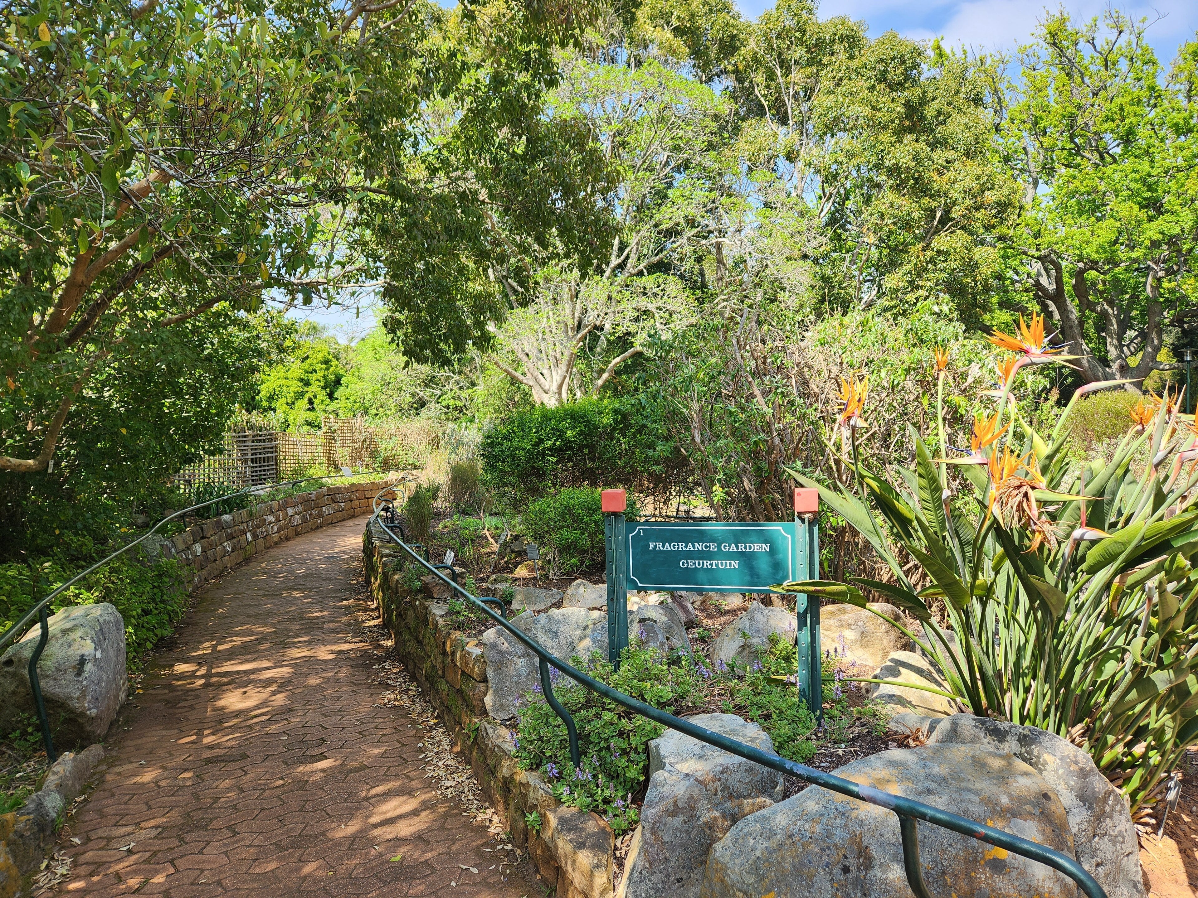Kirstenbosch National Botanical Garden
