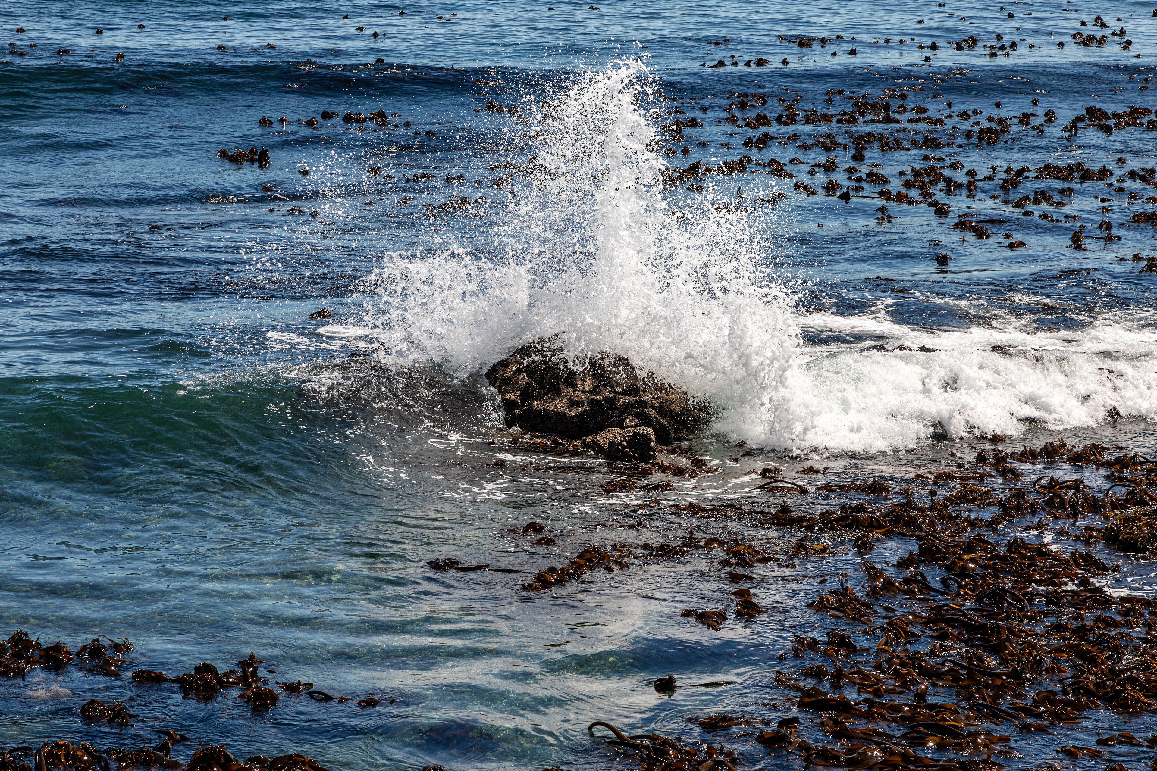 Sea Point Promenade