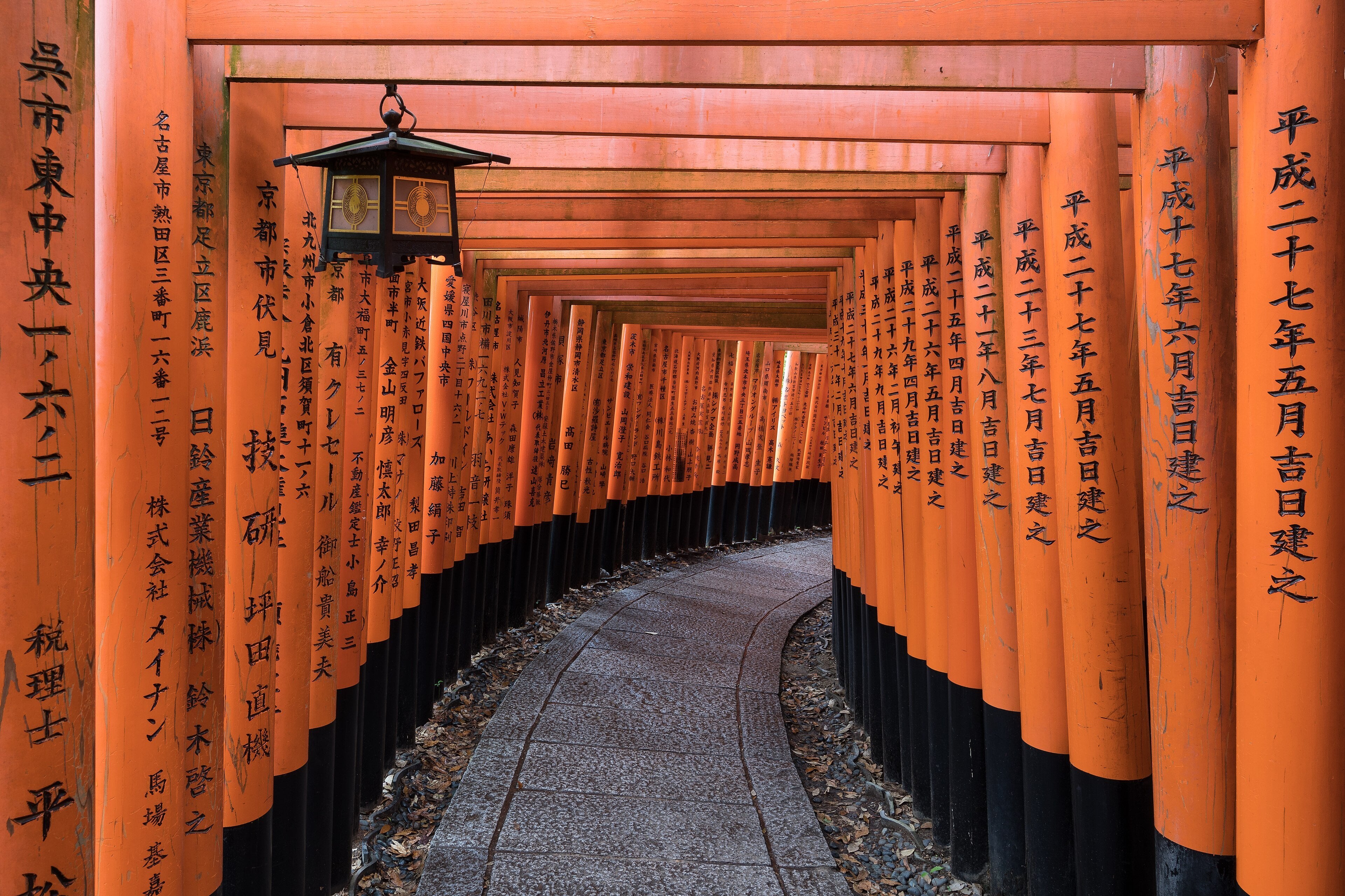 Torii path at Fushimi Inari Taisha