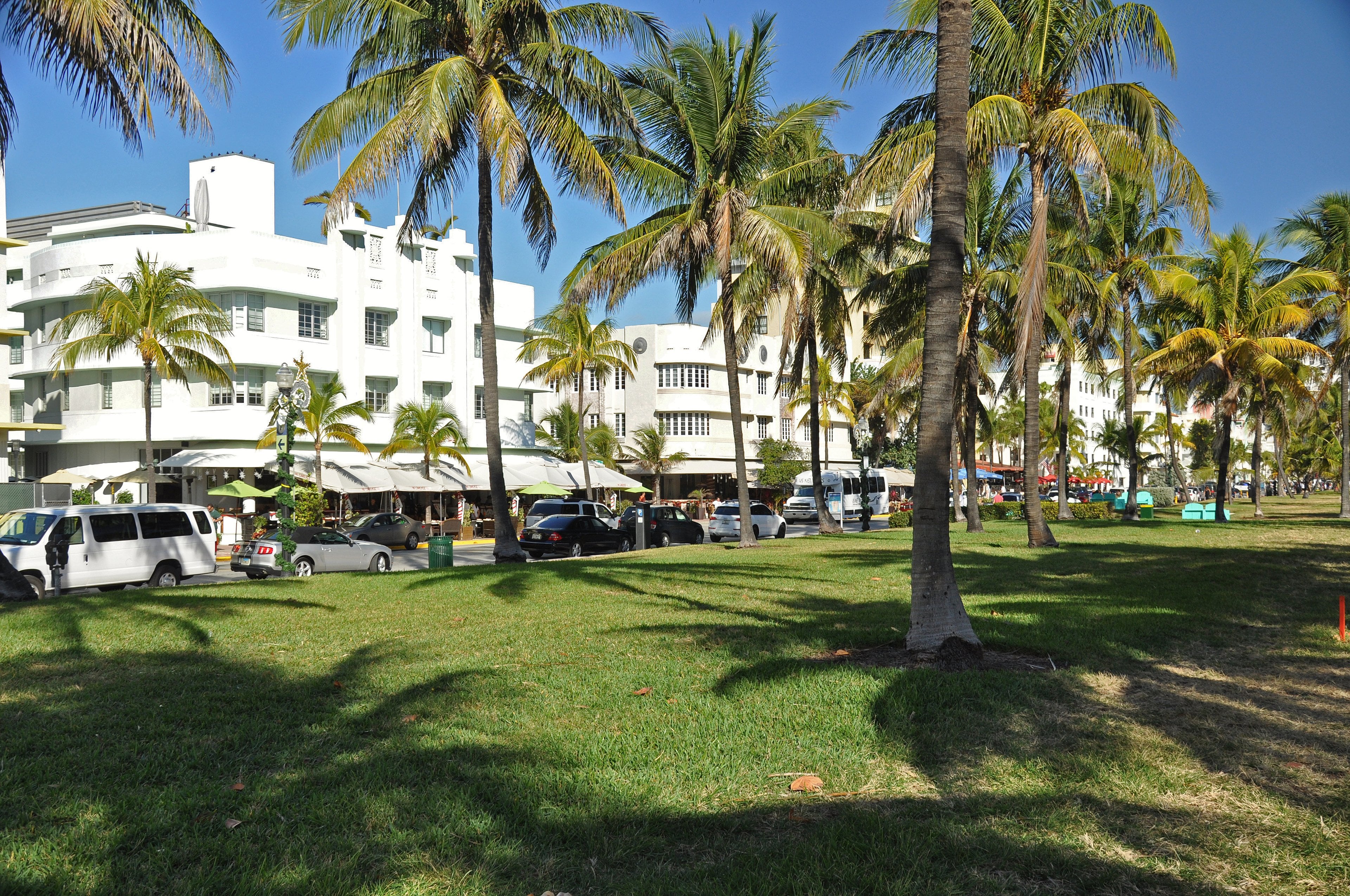 Lummus Park lawn and palms in front of the Ocean Drive hotels