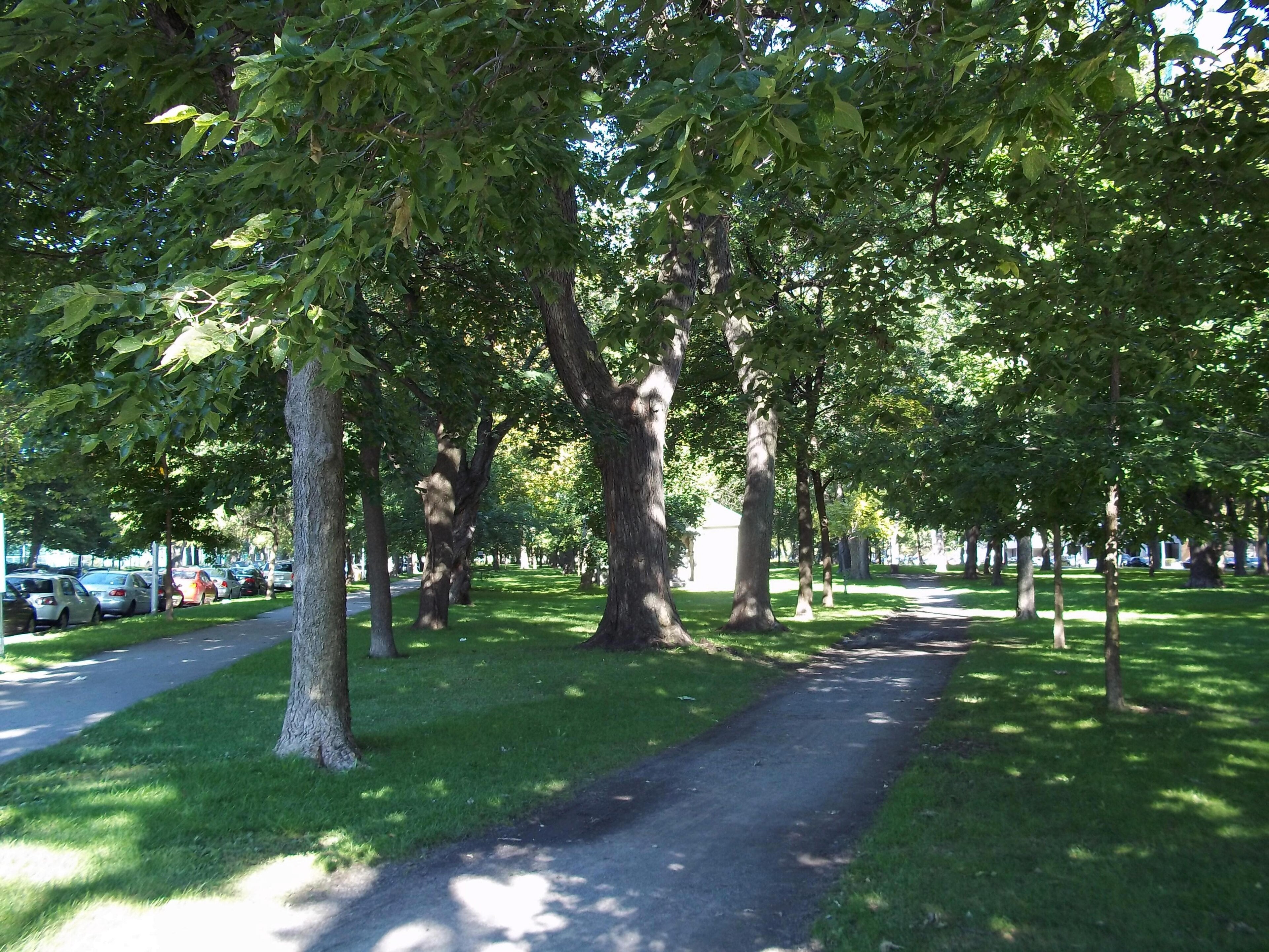 Parc La Fontaine