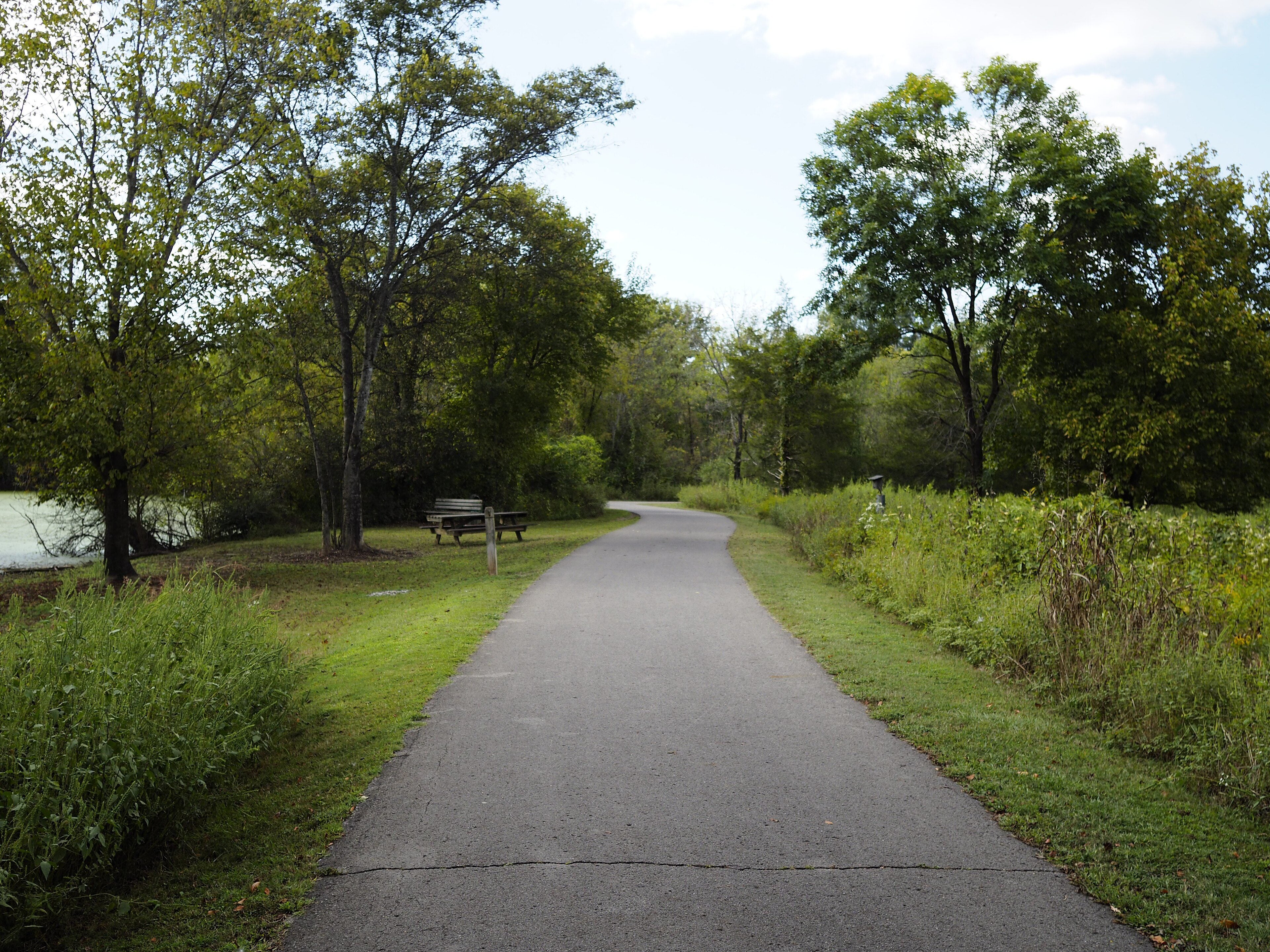 A paved path through the woods of Shelby Bottoms Greenway