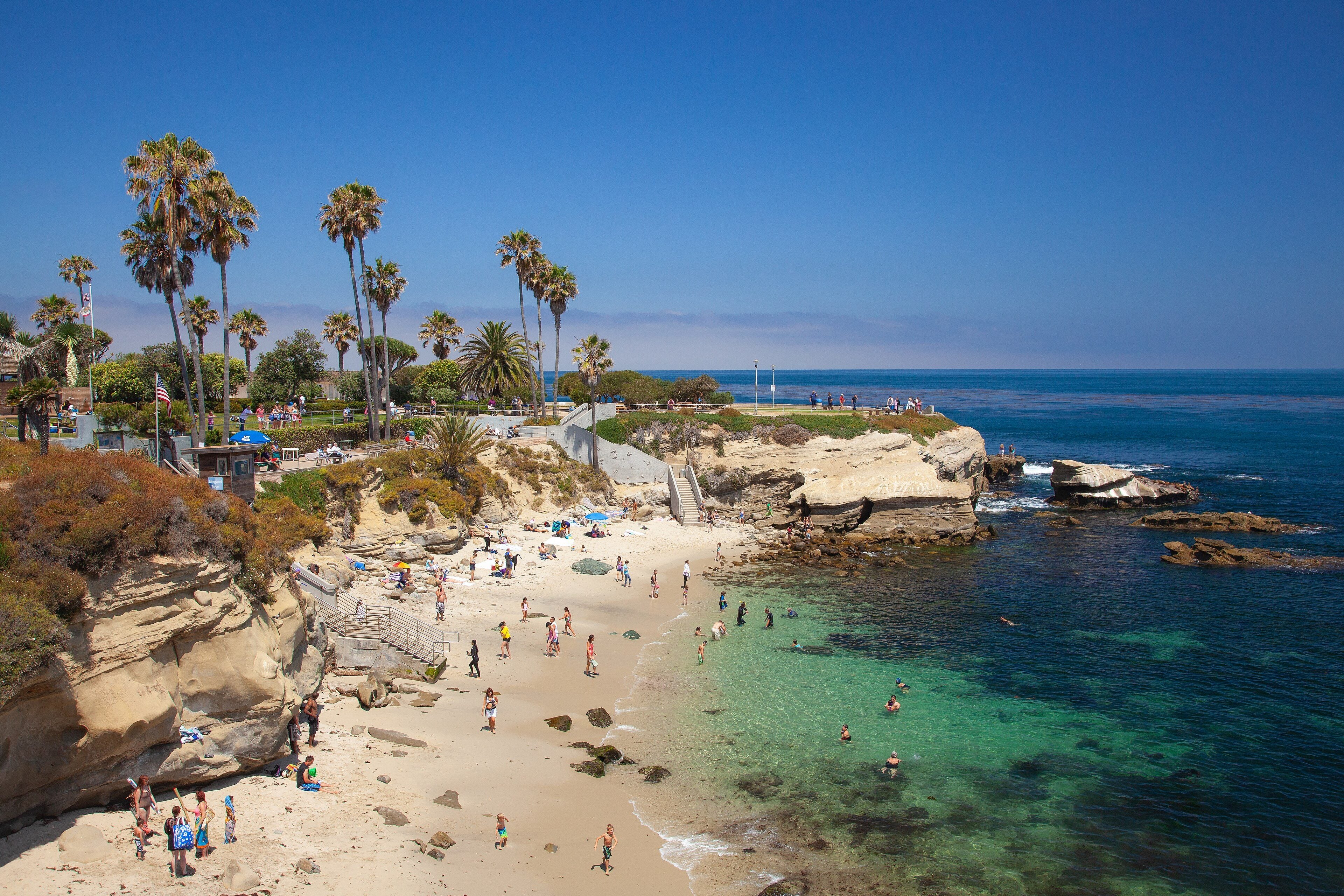 La Jolla Cove's beach and clear water below the palms
