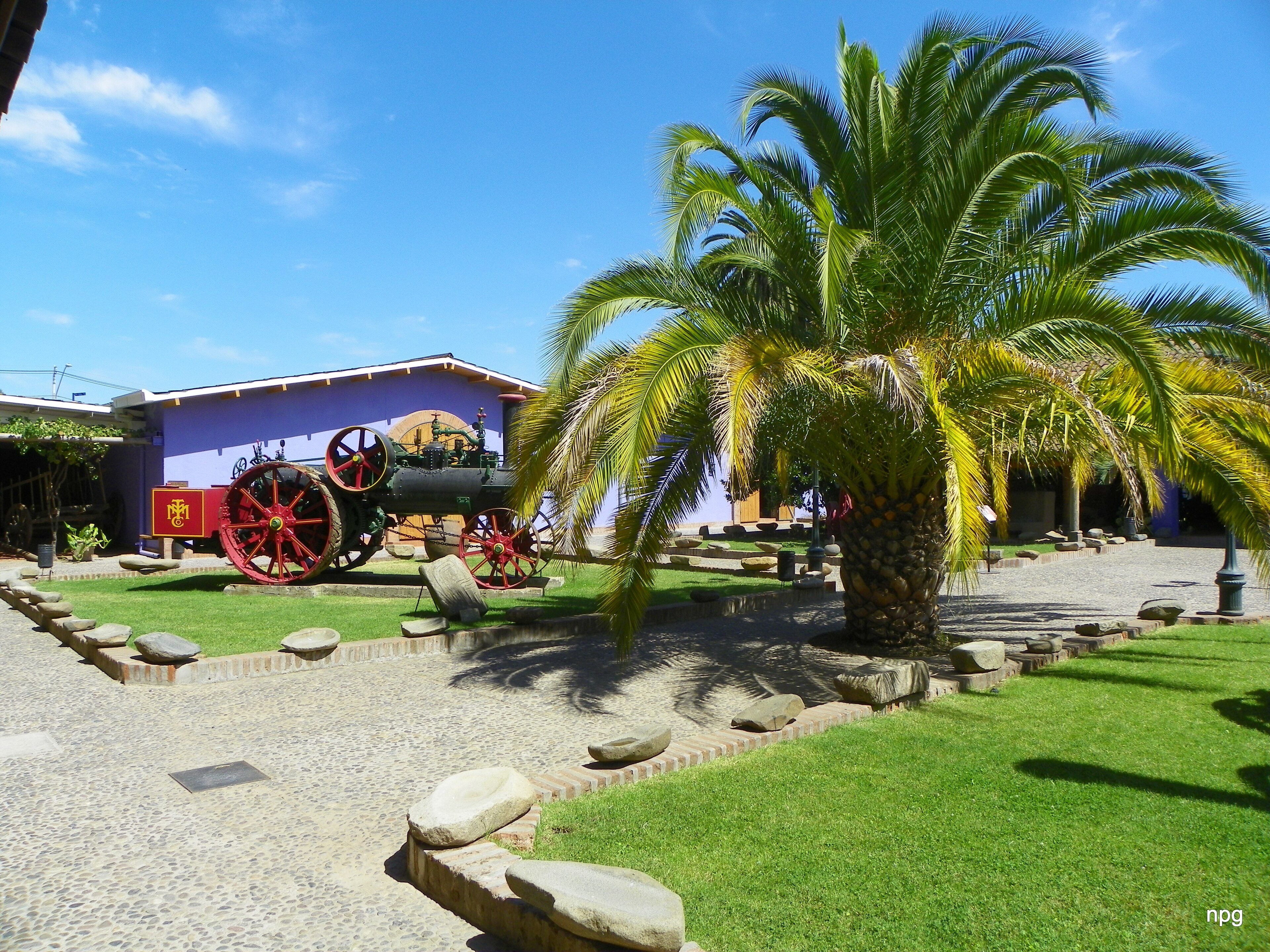 Museo de Colchagua grounds