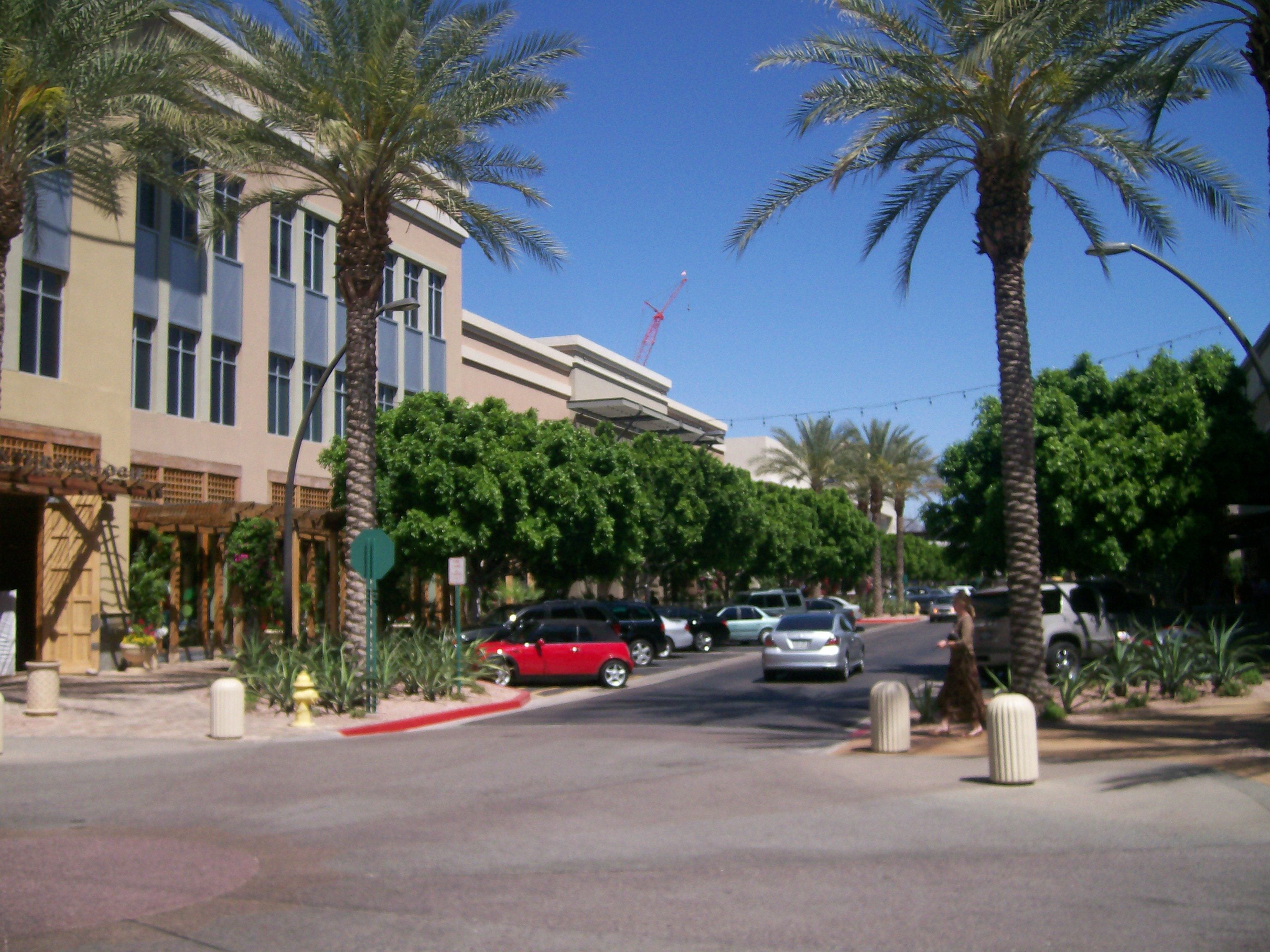 Palm-lined street at Kierland Commons