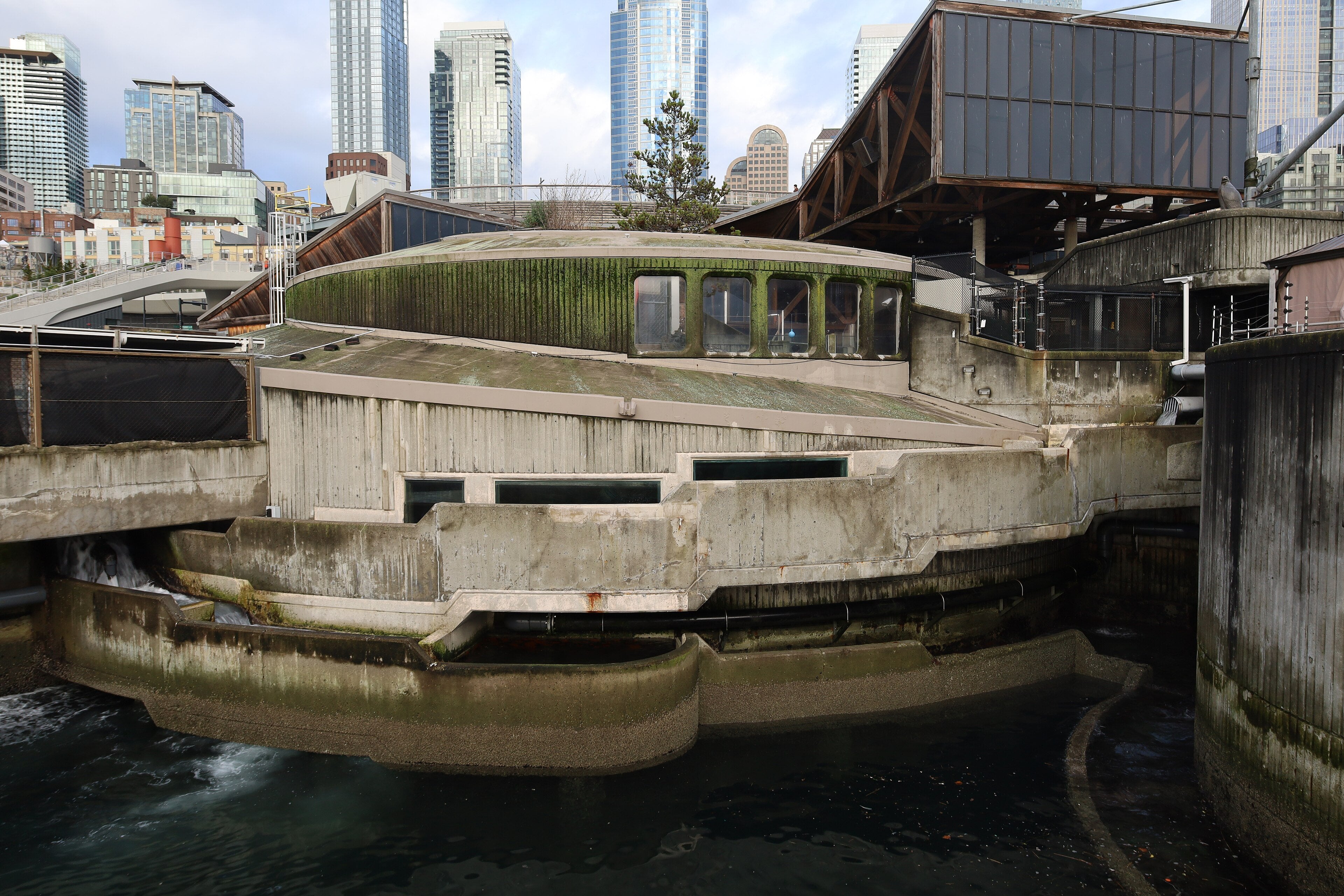 Seattle Aquarium
