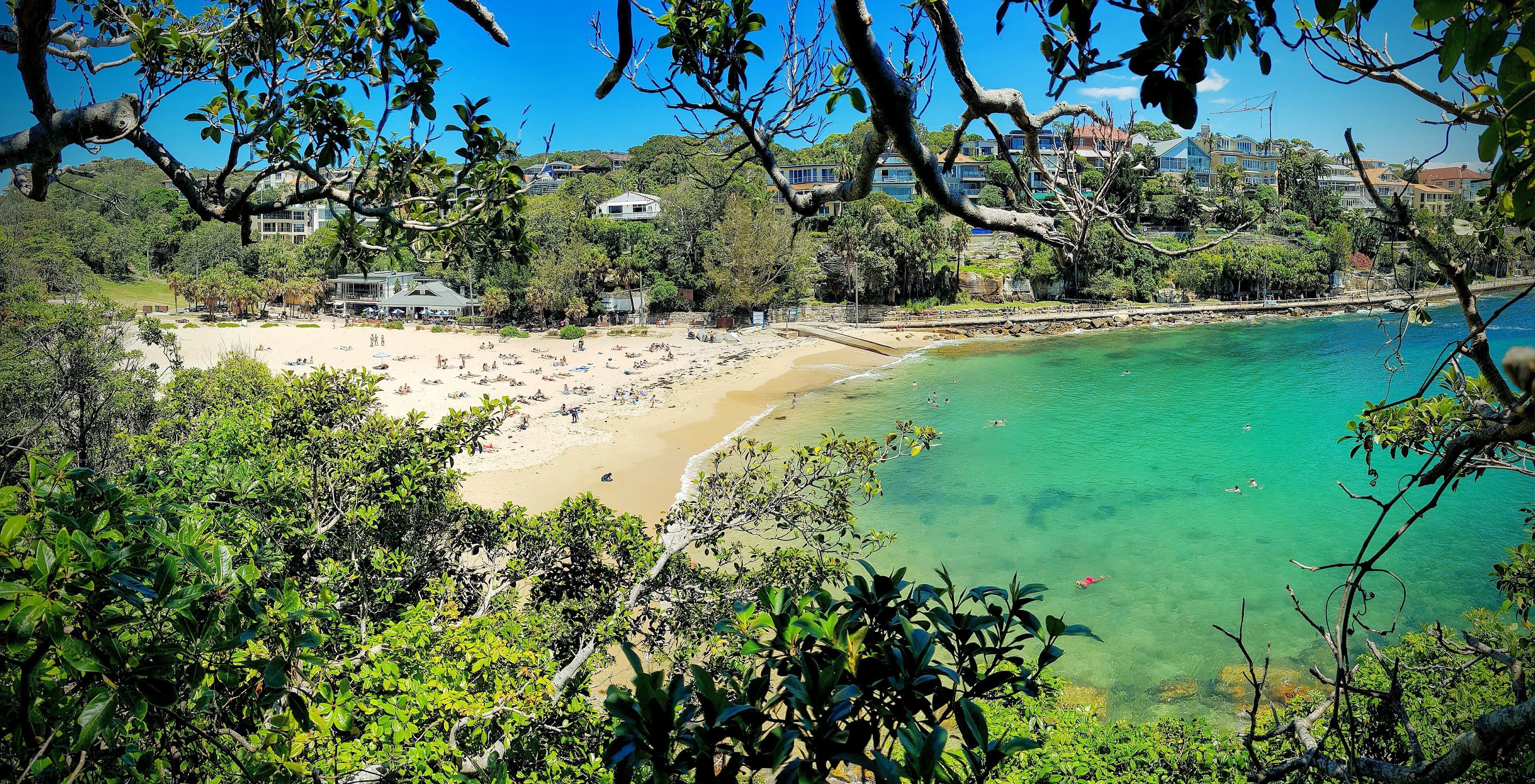 Shelly Beach and Cabbage Tree Bay