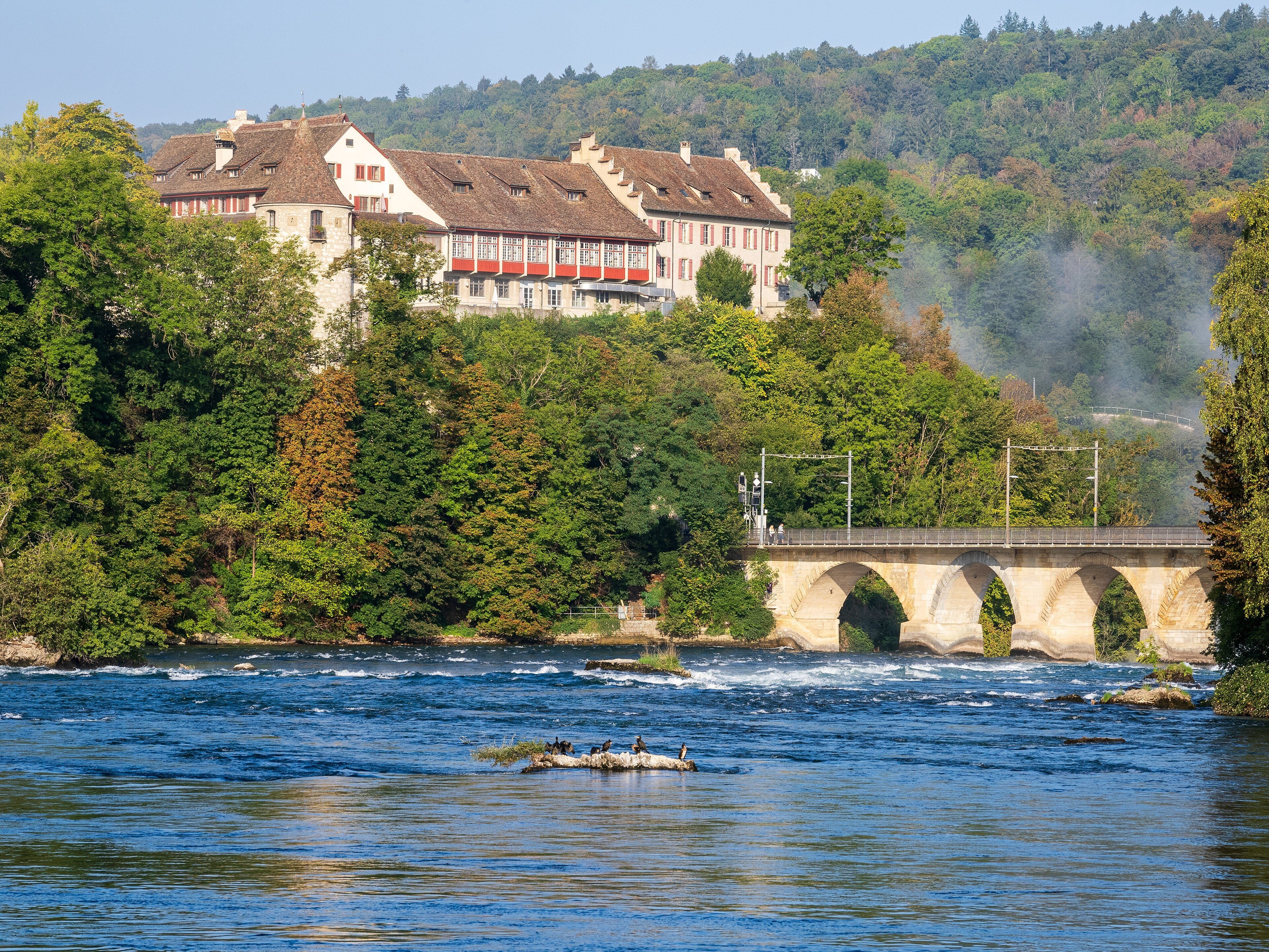 Schloss Laufen above the Rhine Falls
