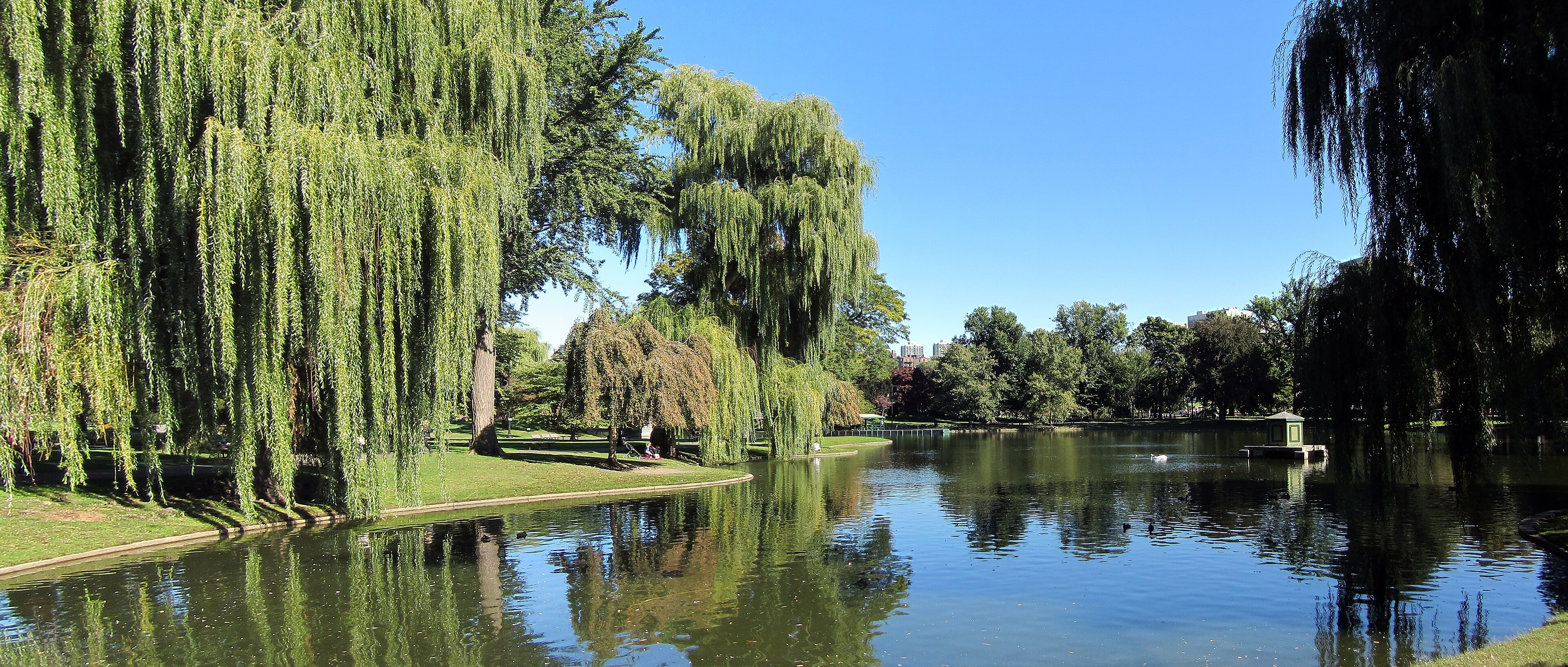 Boston Public Garden