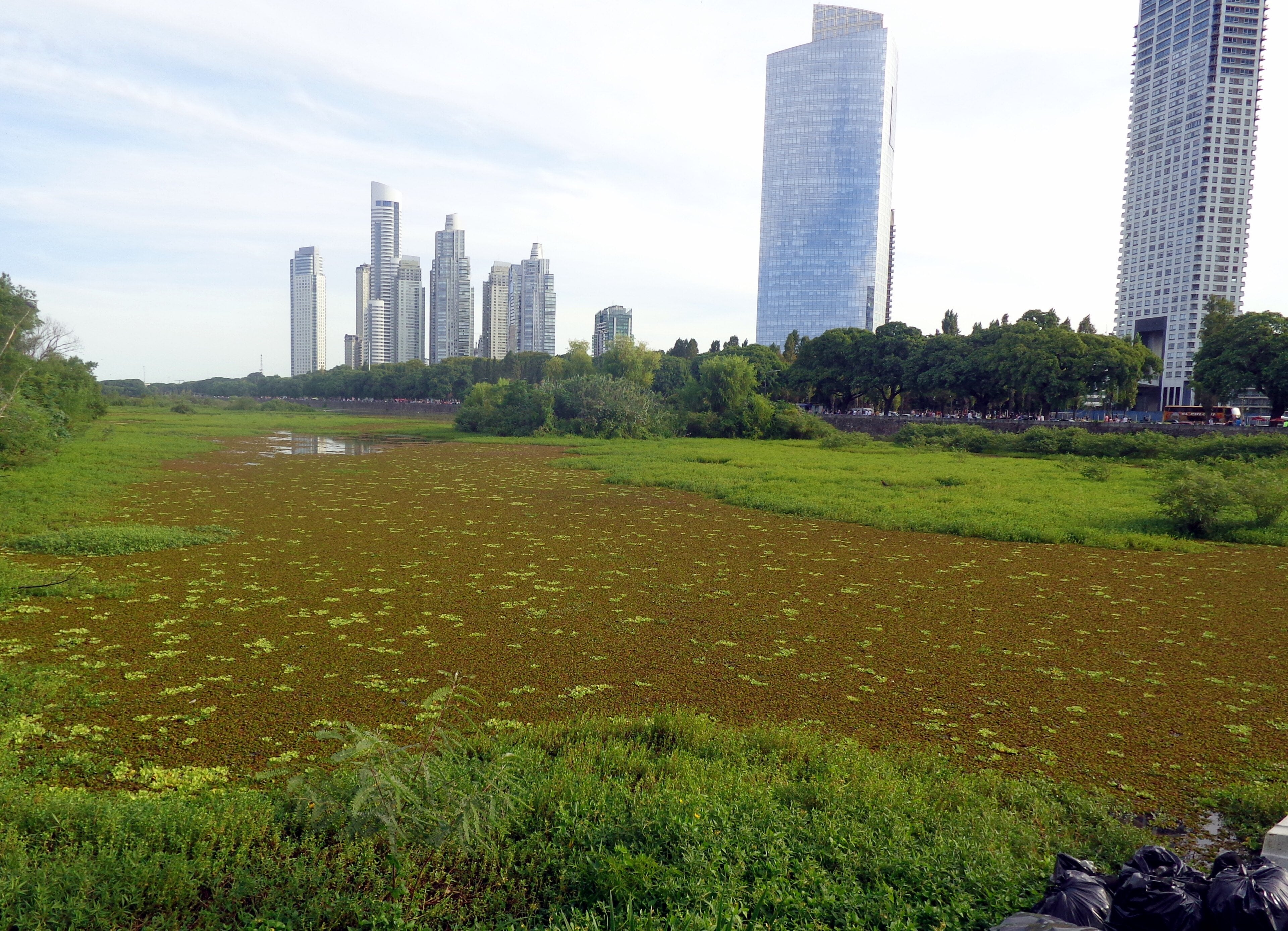 Reserva Ecológica Costanera Sur