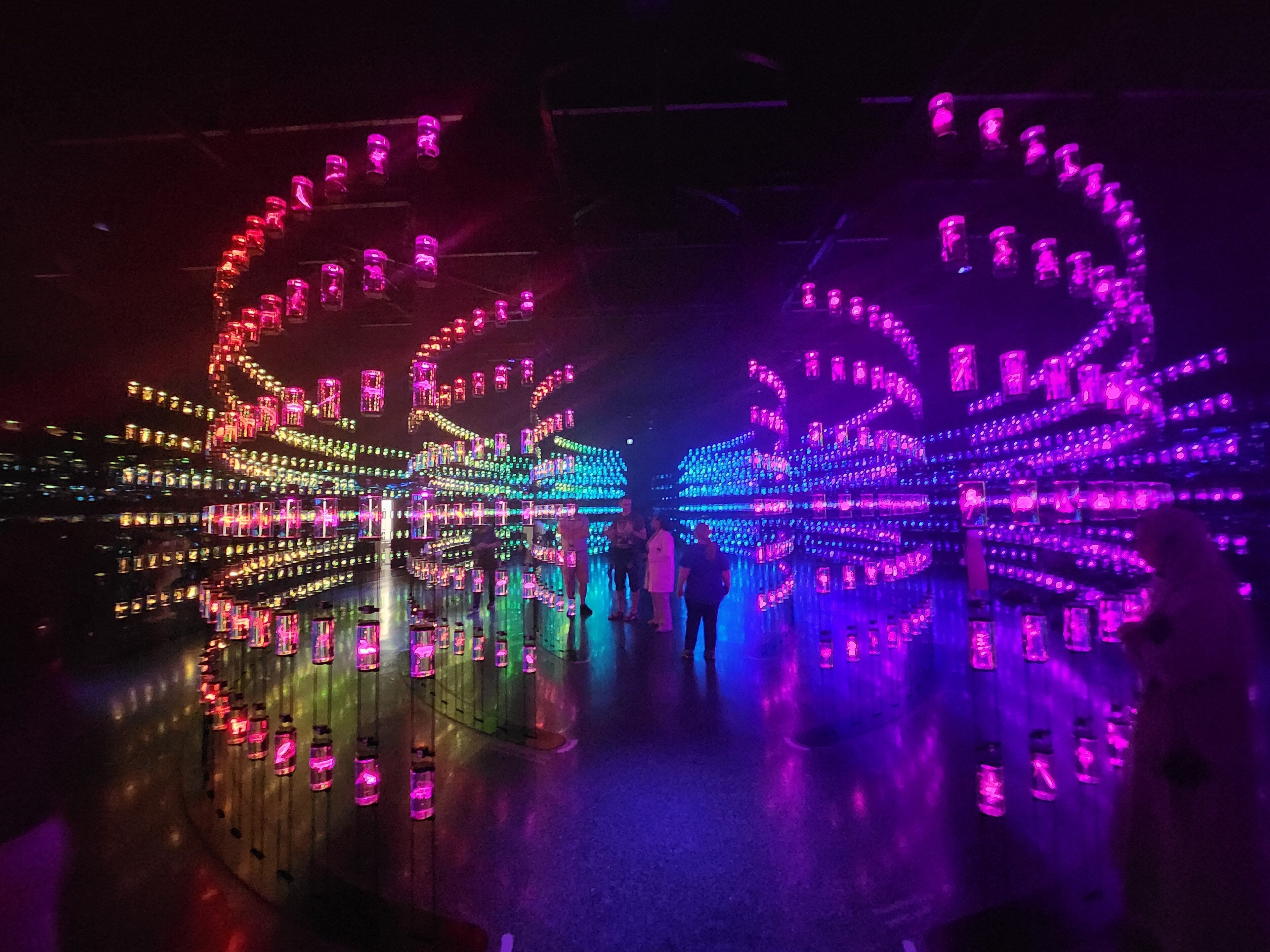 Inside the Museum of the Future