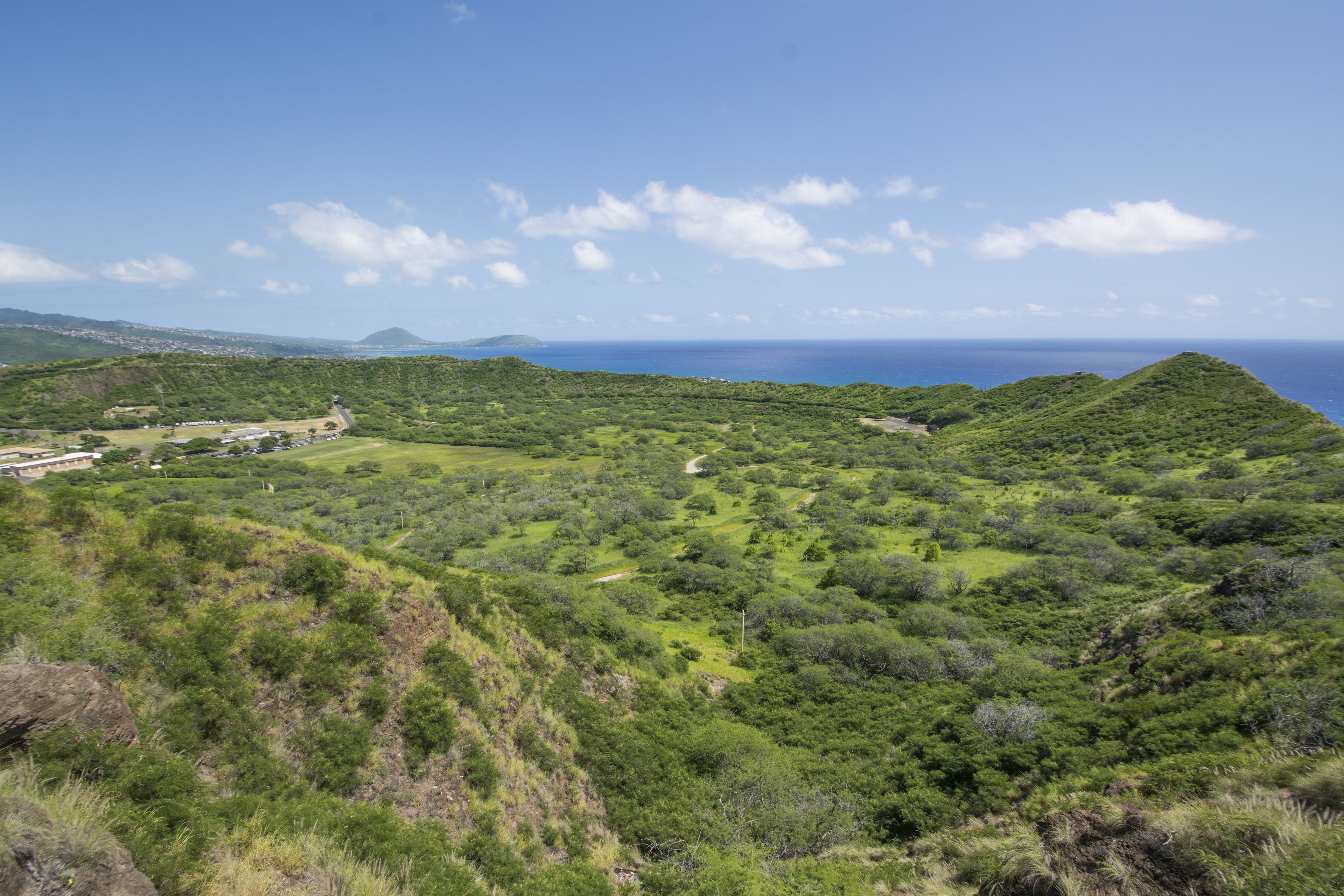 The green crater of Diamond Head seen from the summit trail