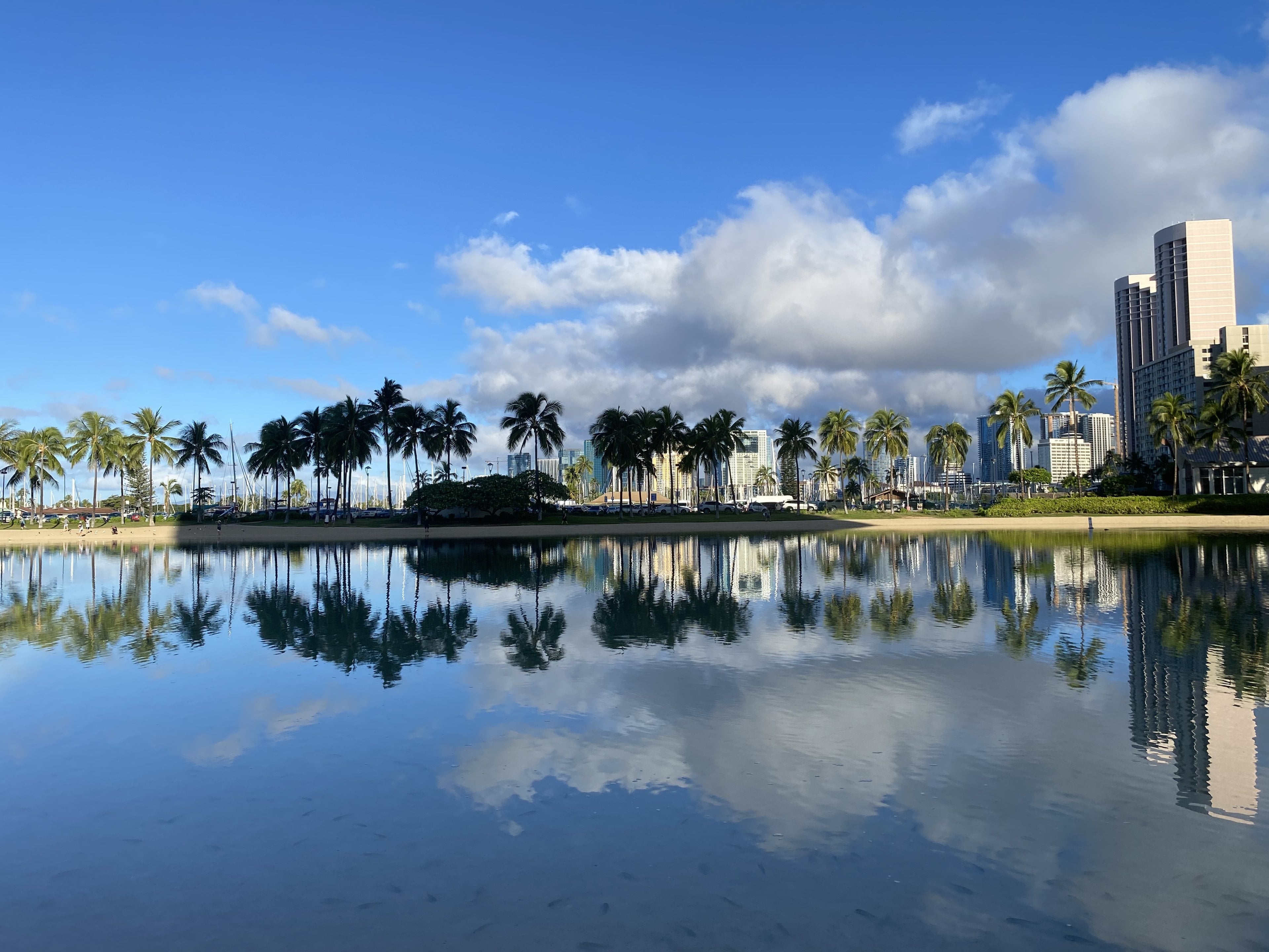 Palms reflected in the water at Fort DeRussy Beach Park