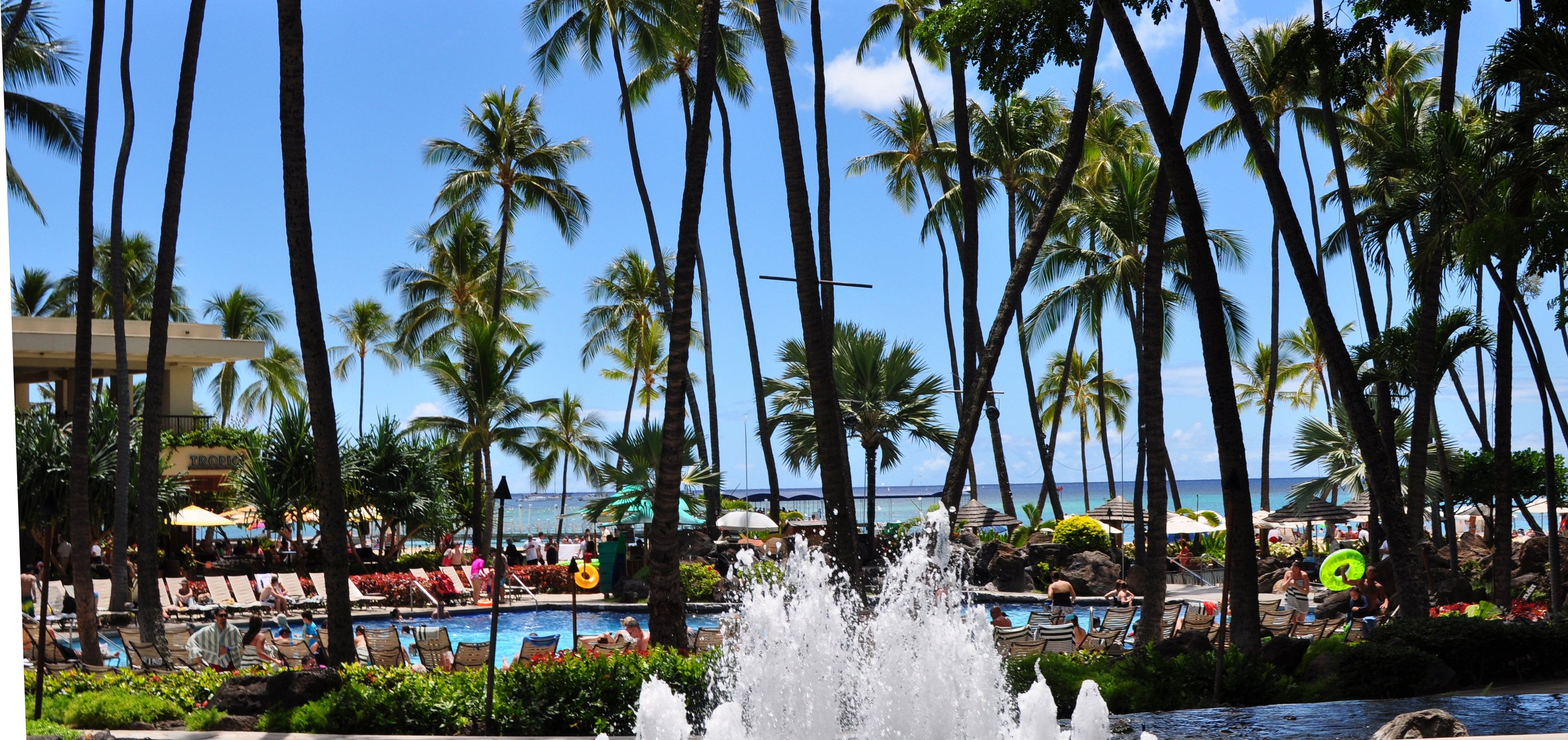 Palms and pools at the Hilton Hawaiian Village