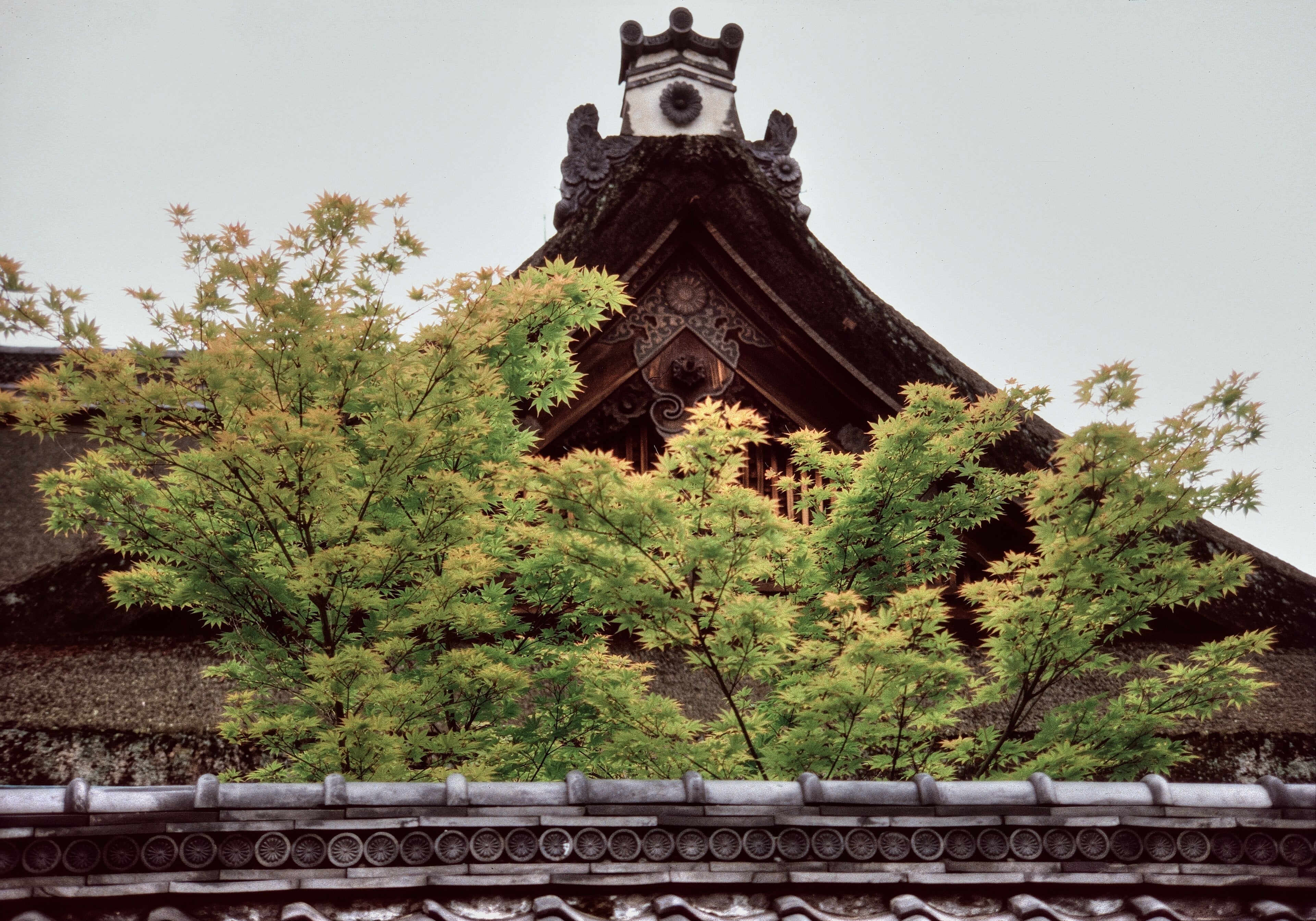 The Kyoto Imperial Palace