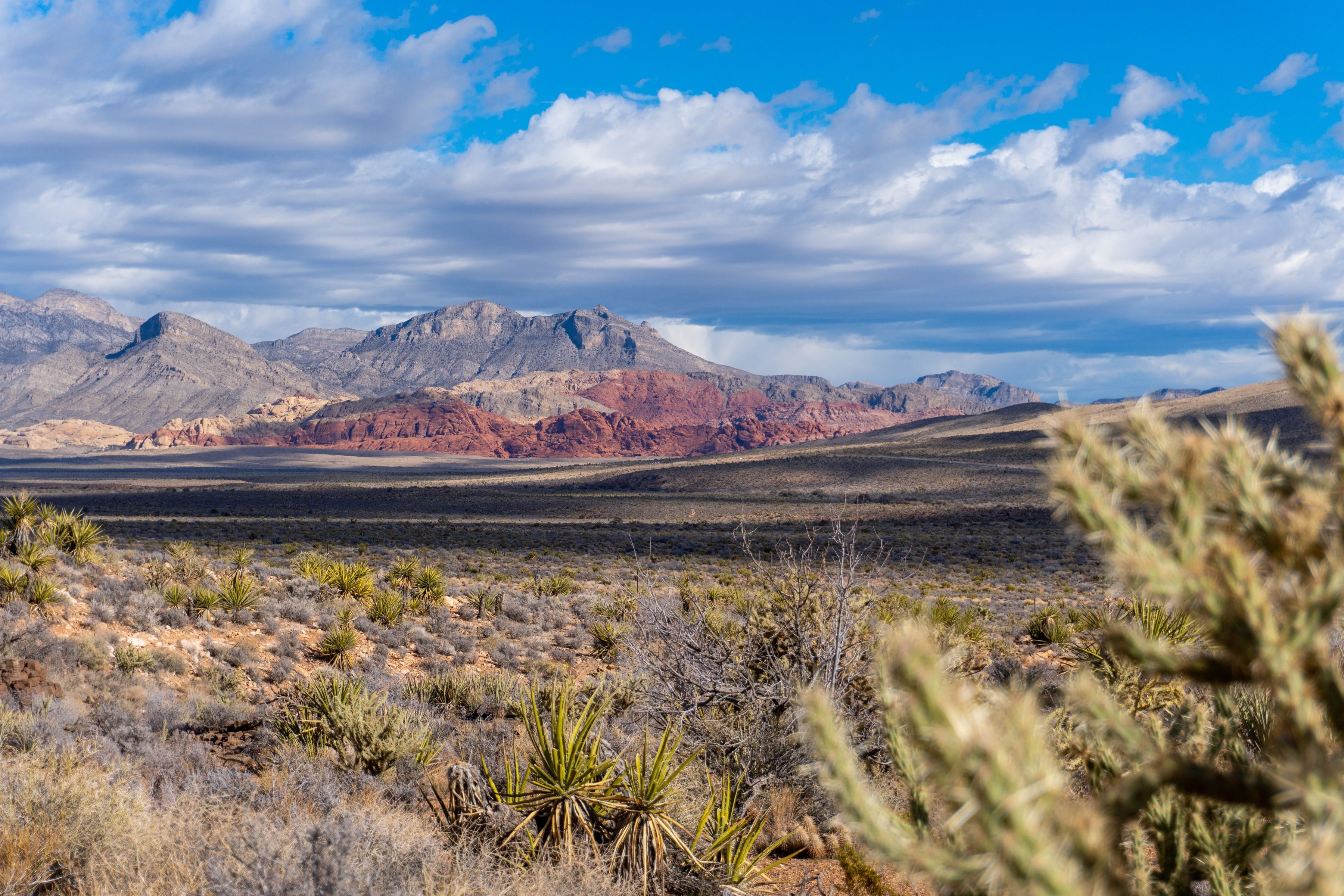 Red and cream sandstone ridges of Red Rock Canyon above desert scrub west of Las Vegas