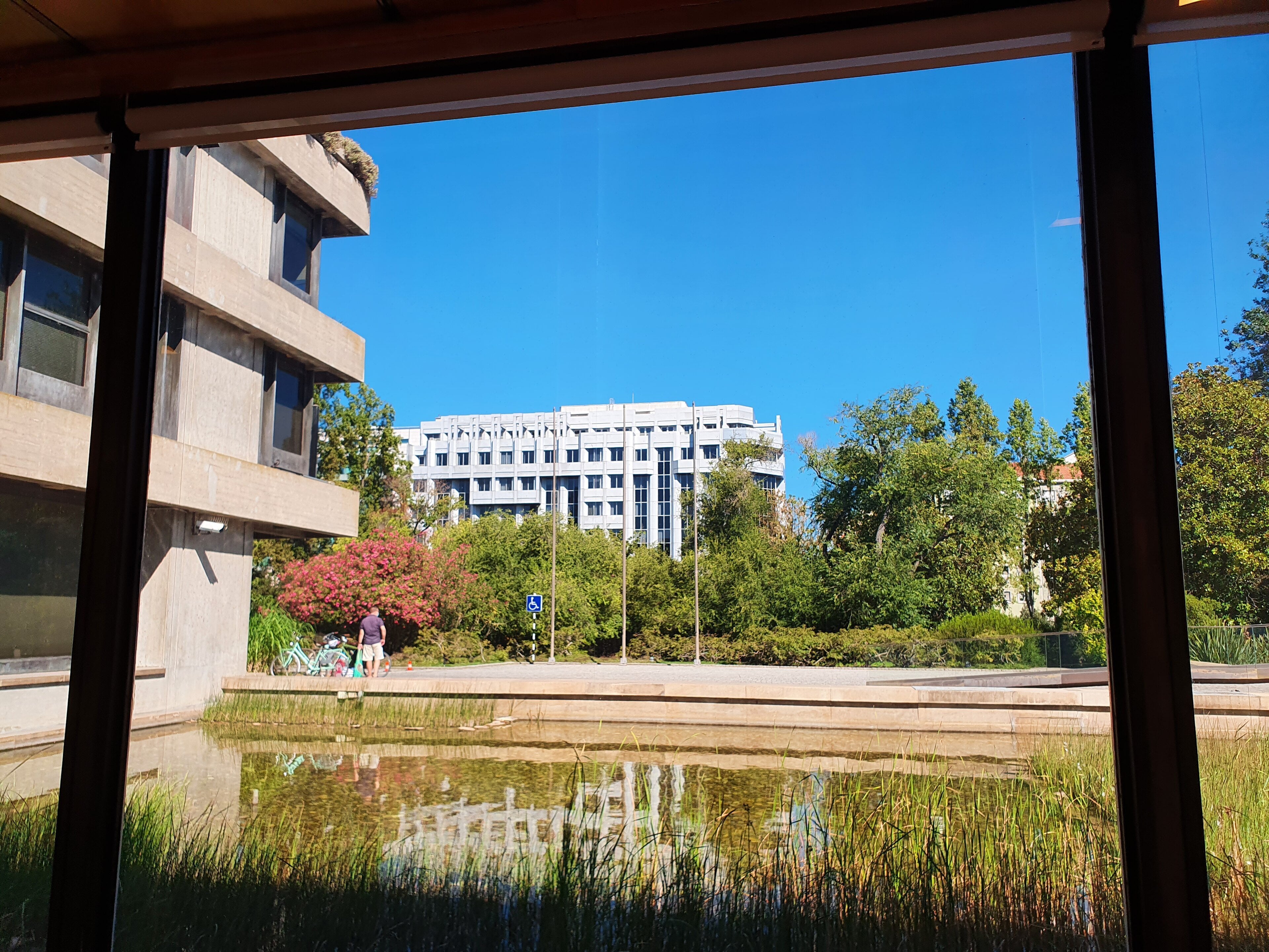 The Calouste Gulbenkian Museum