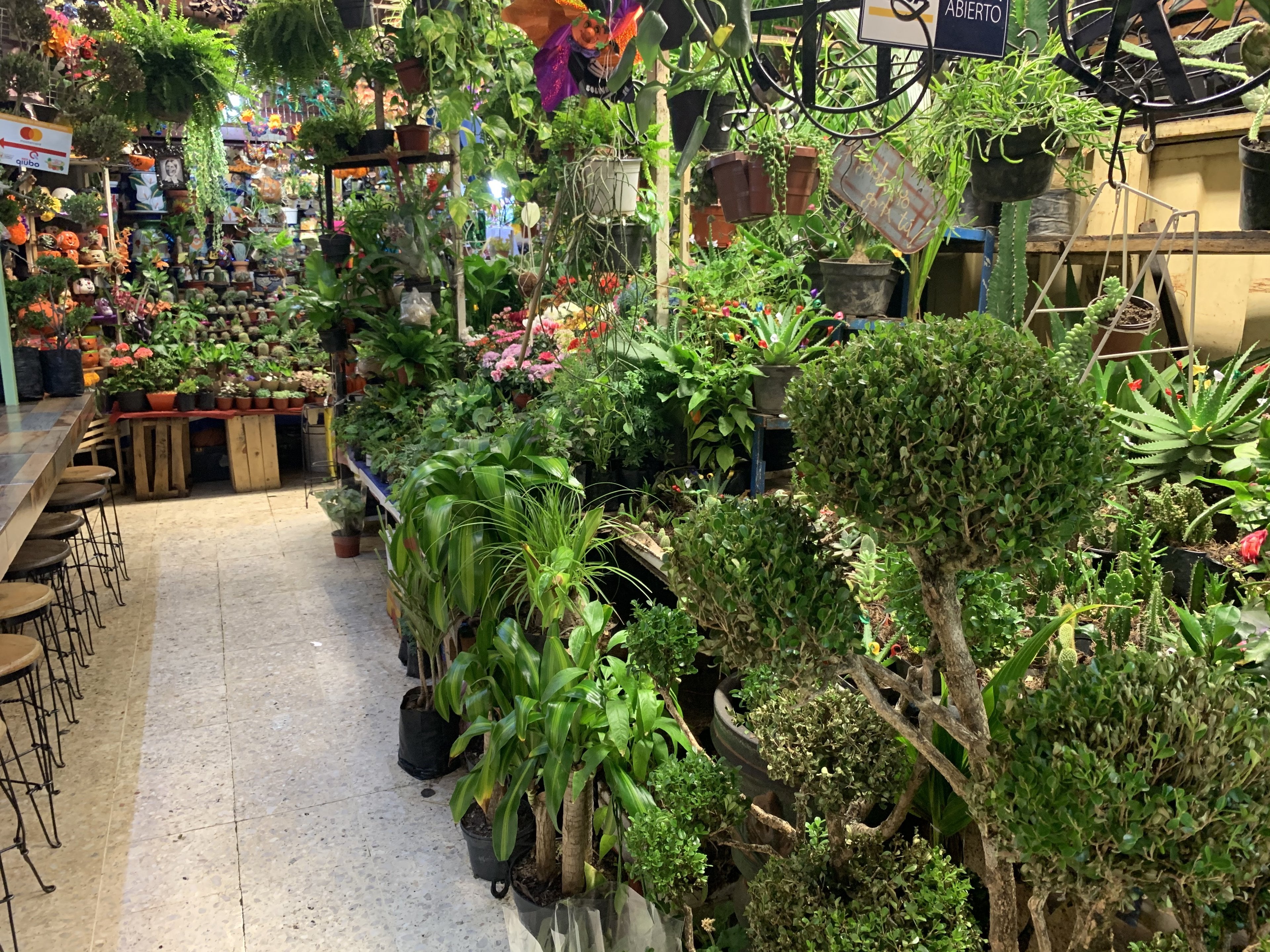 Plant stalls in the Mercado de Coyoacán