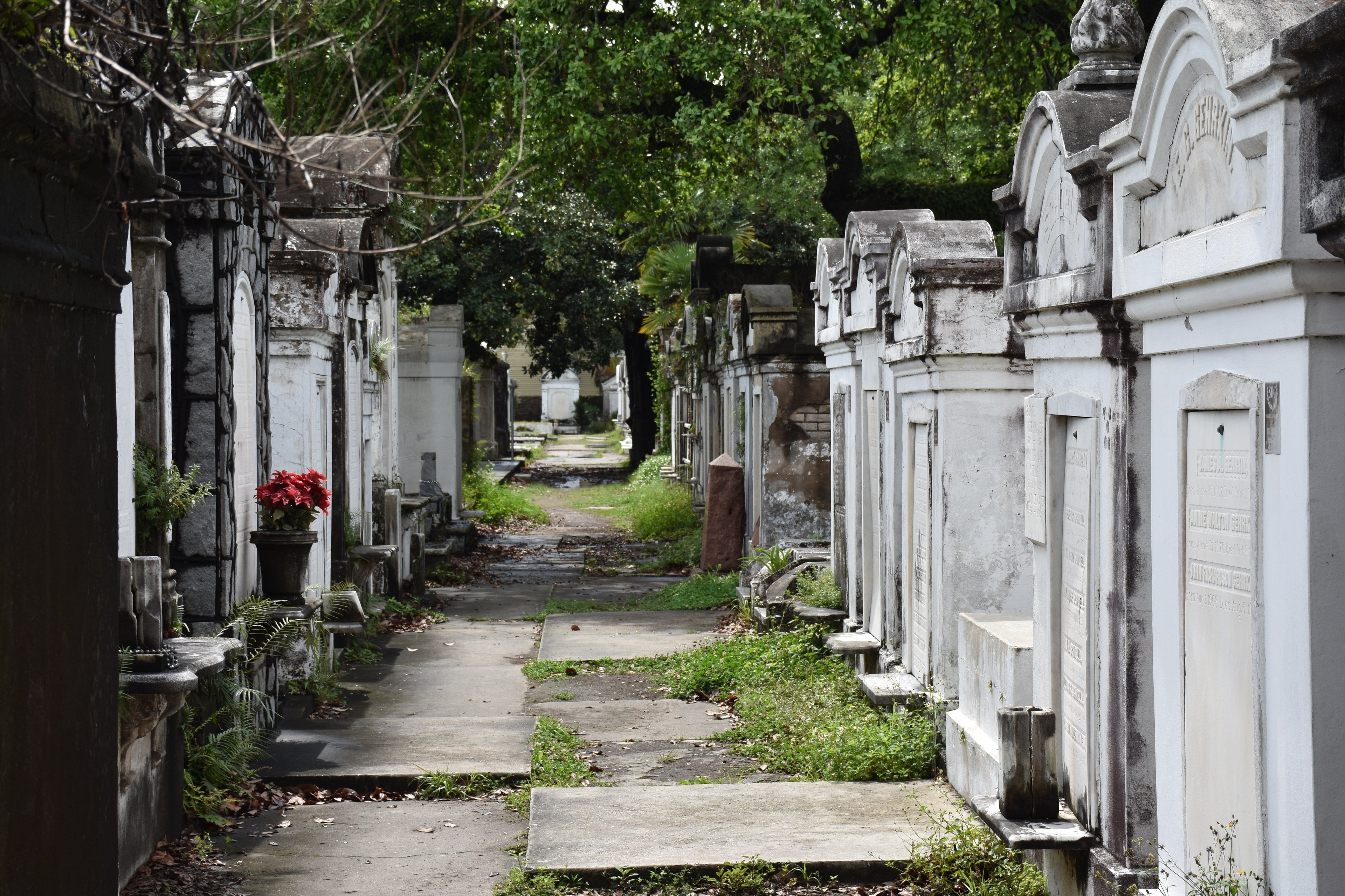 Rows of above-ground tombs in Lafayette Cemetery No. 1