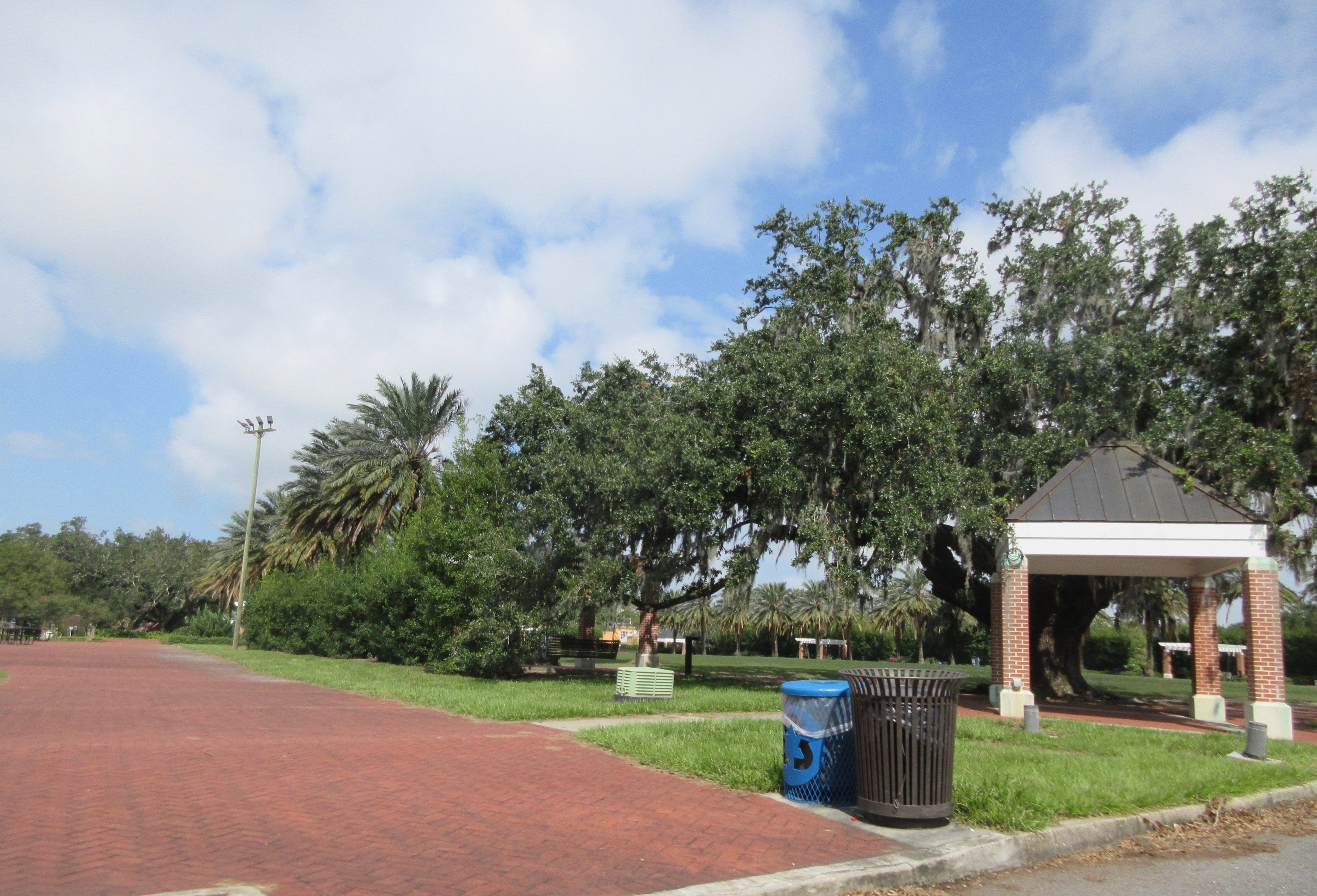 Oaks and a pavilion in City Park