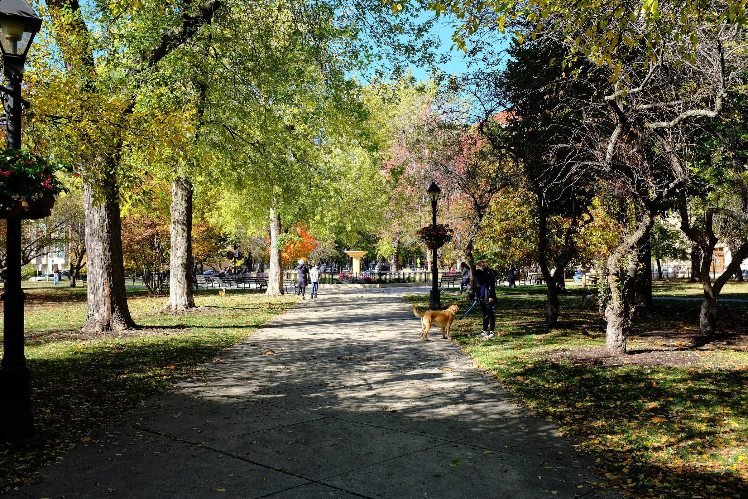 Autumn foliage on a path in Washington Square Park
