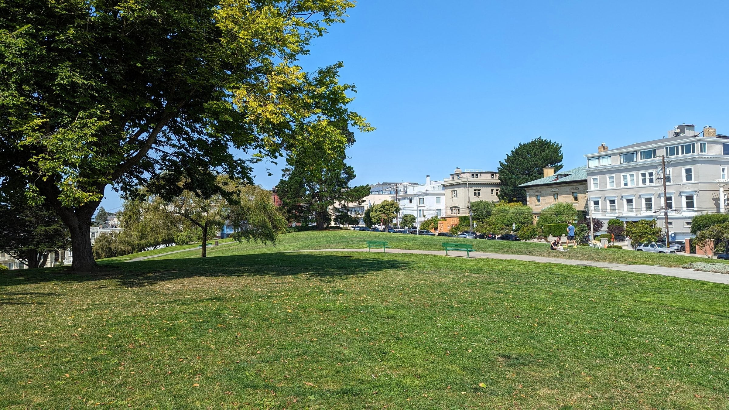 Lawn at Alta Plaza Park with Pacific Heights houses along the edge