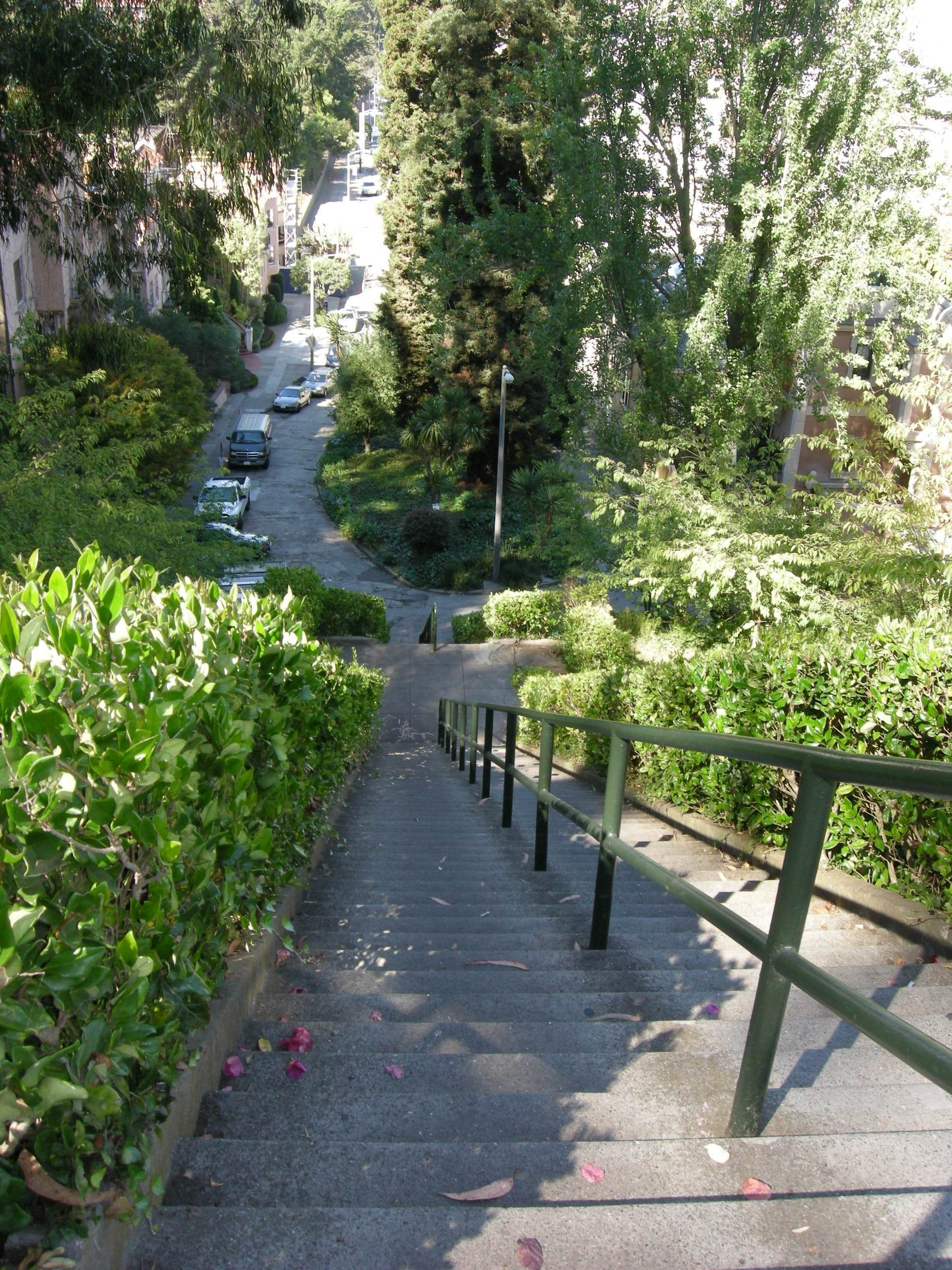 The Lyon Street Steps between hedges, dropping toward the Marina