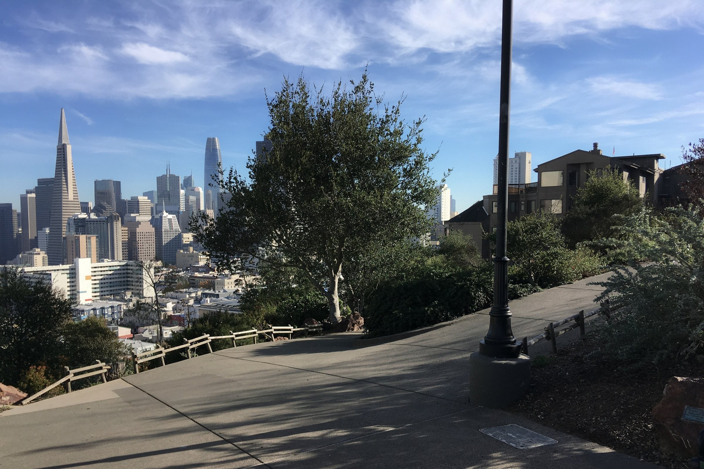 Path through Ina Coolbrith Park on Russian Hill with the Transamerica Pyramid and downtown behind