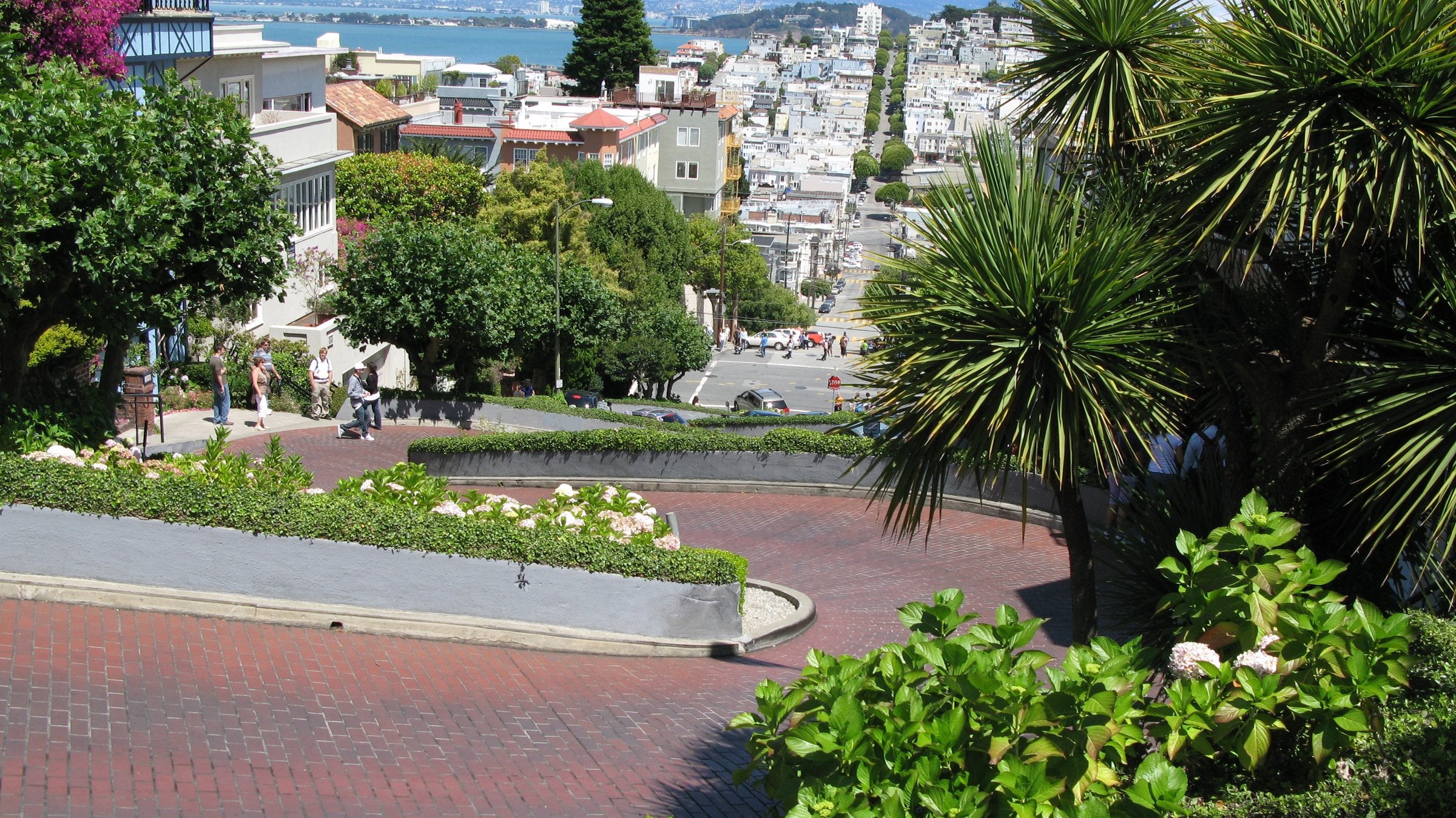 Crooked block of Lombard Street with flower beds, looking down toward the bay