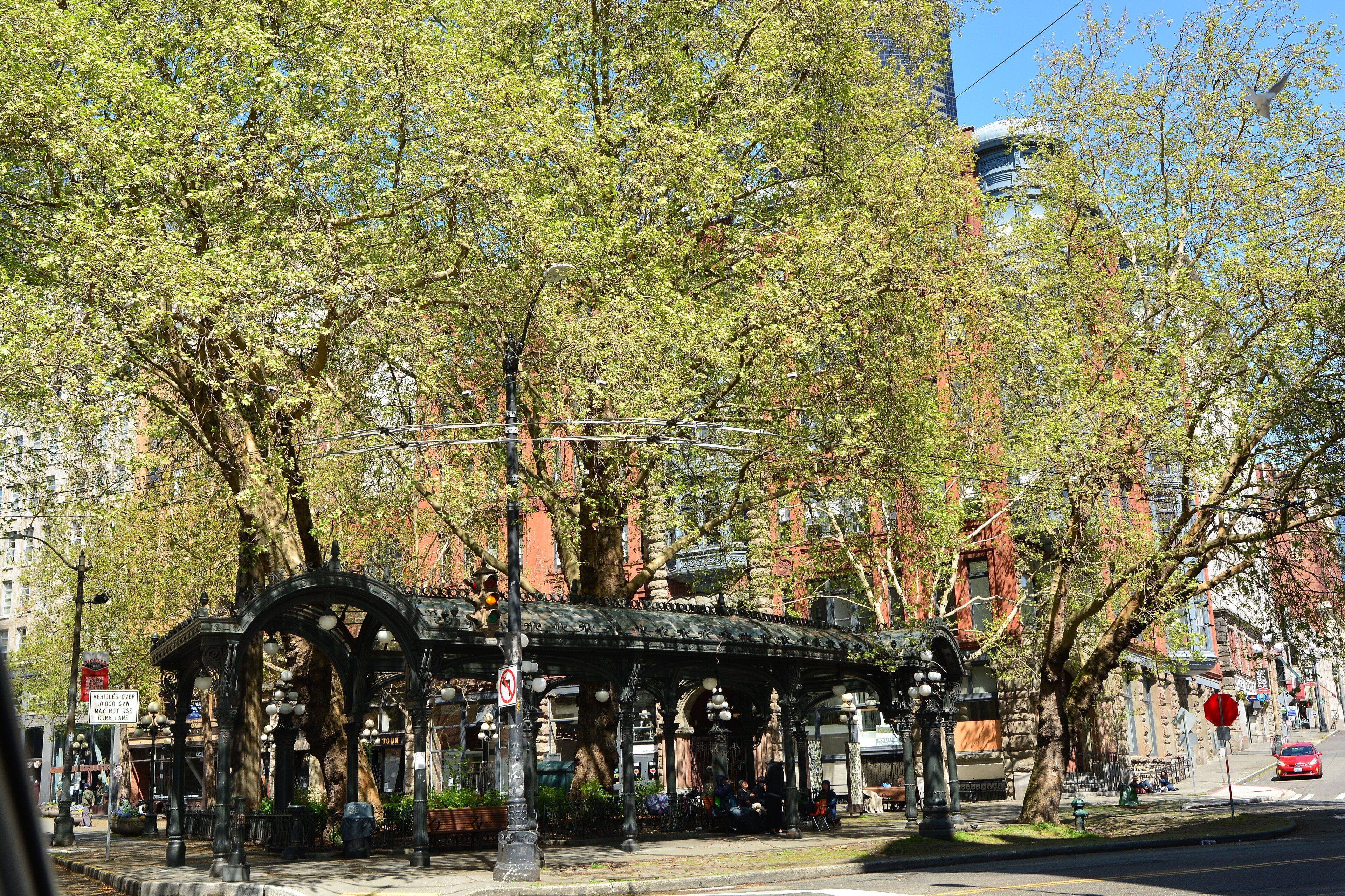 Pioneer Square pergola
