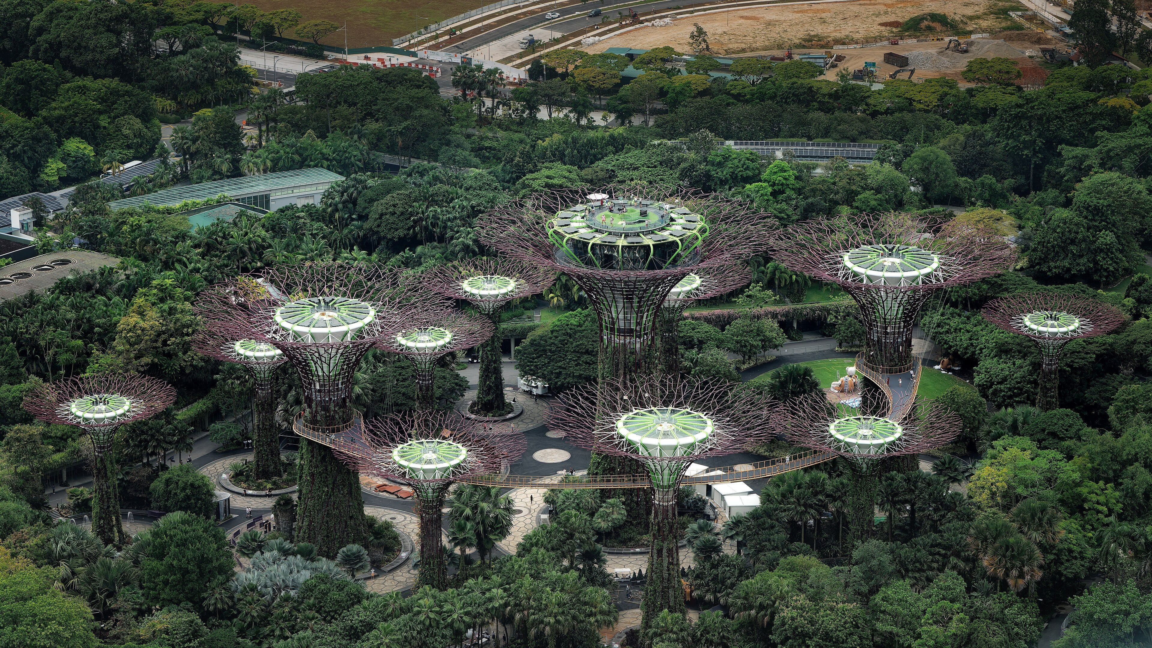 Supertree Grove at Gardens by the Bay