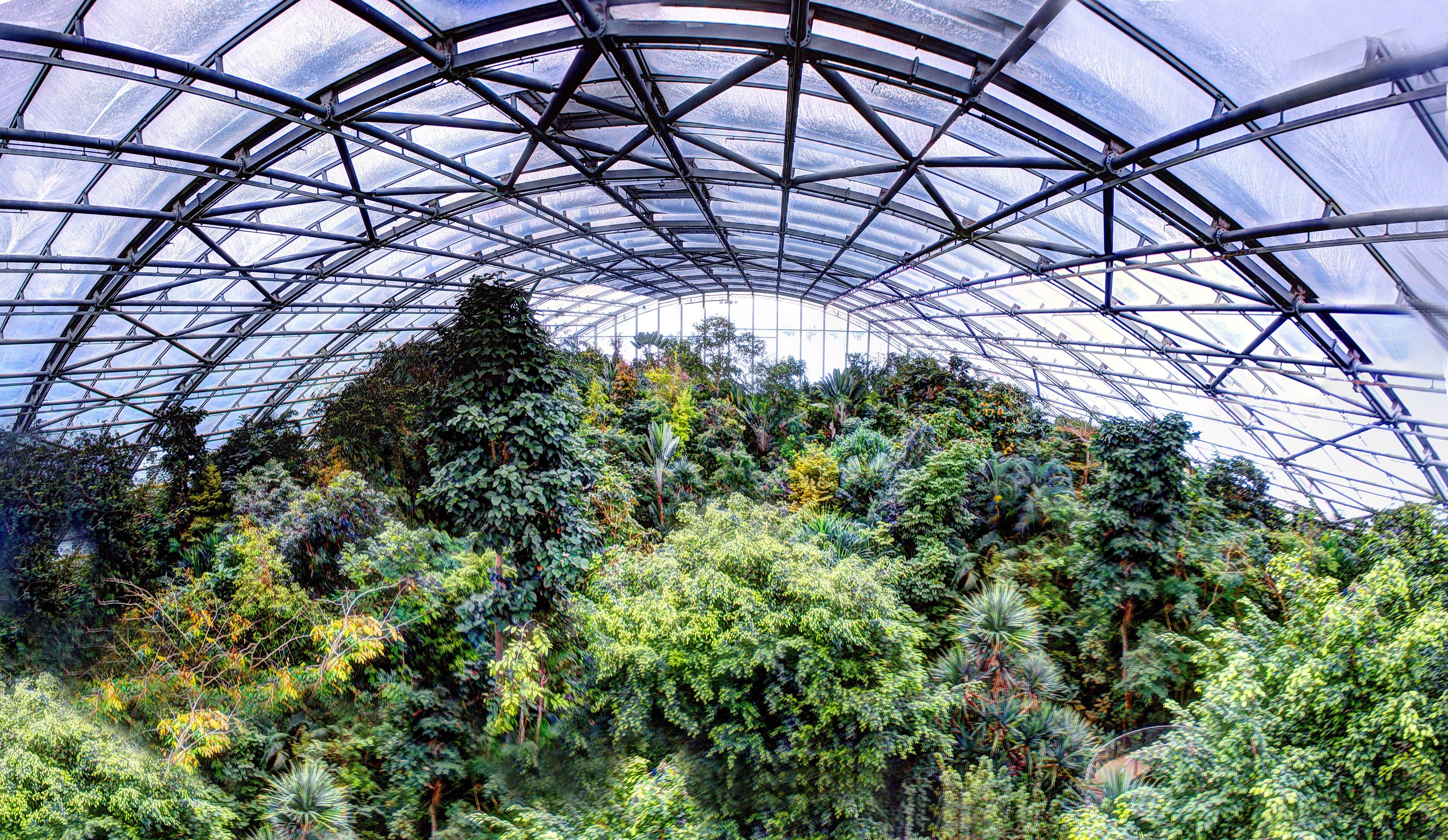 Masoala Rainforest hall at Zoo Zürich
